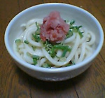 釜揚げうどんのレシピ『みぞれ梅うどん』